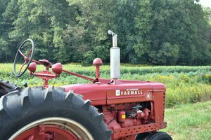 09202025 SUNFLOWERS 1.jpg