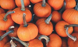 resized pumpkin.jpg