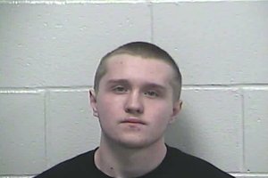 1013 SEX CRIMES ARREST