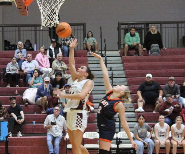 1118 BASKETBALL 3.jpg