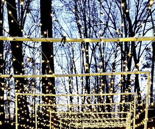 1119 XMAS LIGHT SHOWS