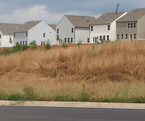 1224 DEVELOPING DAWSON 1