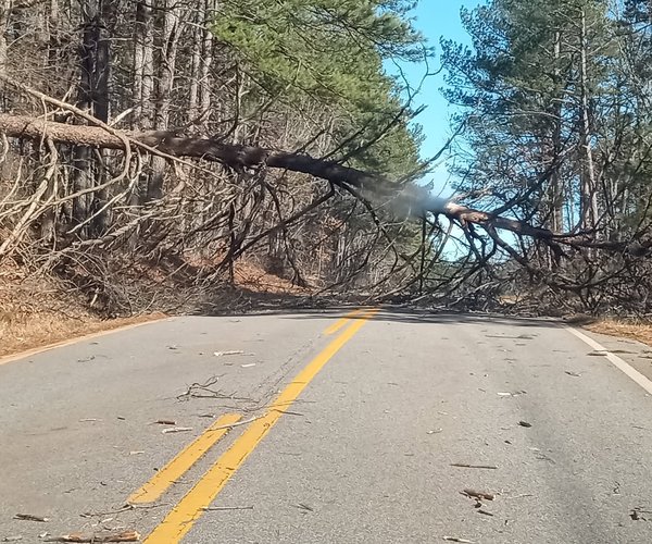 1229 WINTERRETURNS 1-1