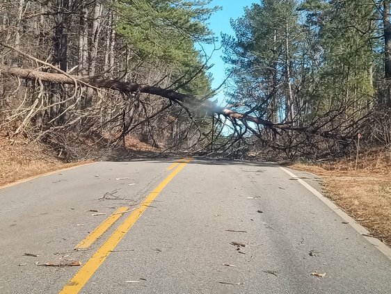 1229 WINTERRETURNS 1-1