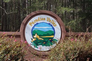 0331 PARADISE VALLEY 1