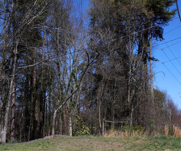 0402 MURDER CHARGE 1