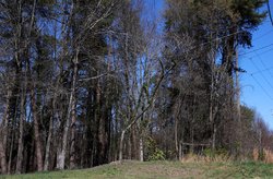 0402 MURDER CHARGE 1