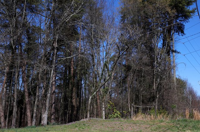 0402 MURDER CHARGE 1