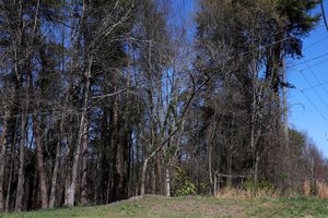 0402 MURDER CHARGE 1