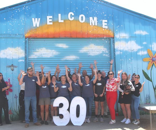 0414 ABBOTT CREEK NURSERY 1