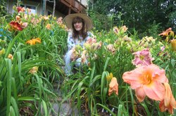 0616 DAYLILIES ANNIVERSARY 1.jpg