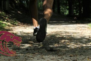 081826 CROSS COUNTY 1
