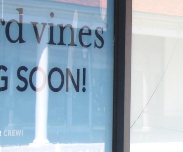 0818 VINEYARD VINES