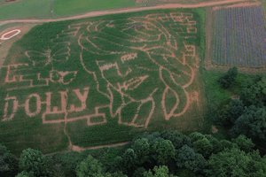 082726 DOLLY MAZE