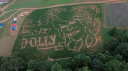 082726 DOLLY MAZE
