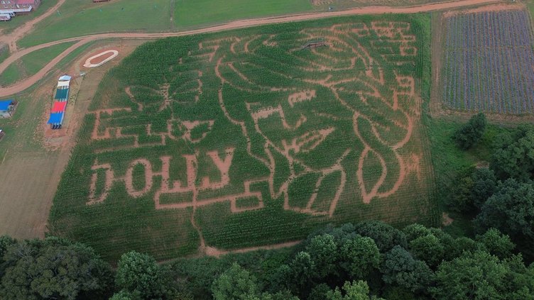 082726 DOLLY MAZE