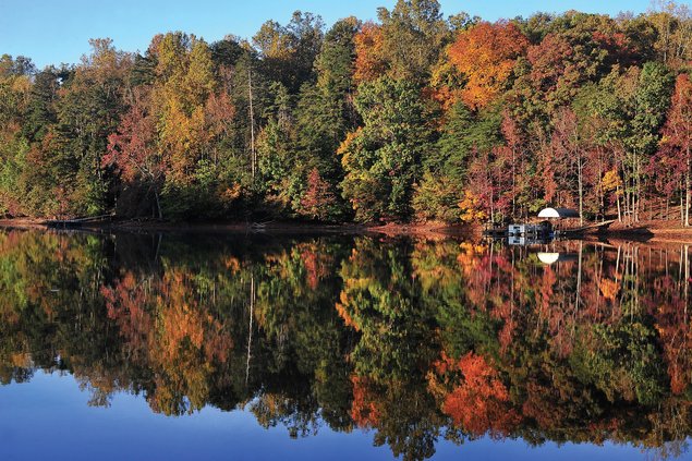 0930 FALL FOLIAGE.jpg