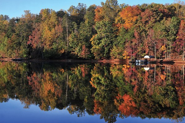 0930 FALL FOLIAGE.jpg